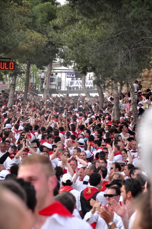 Running of the wine horses, Caravaca de la Cruz